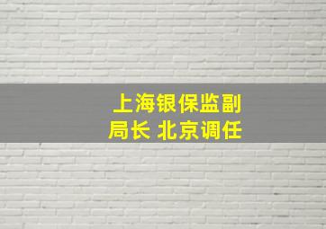 上海银保监副局长 北京调任